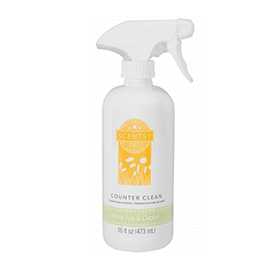 Scentsy White Tea & Cactus Counter Clean