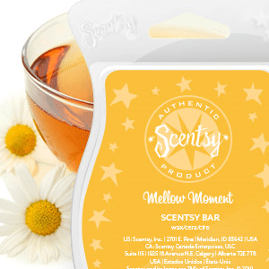 Mellow Moment Scentsy Bar