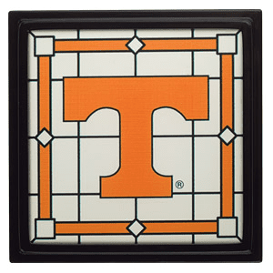 University of Tennessee Scentsy Warmer