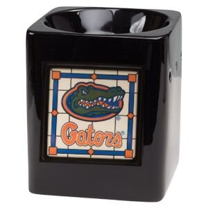 Florida Scentsy Warmer