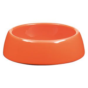 University of Florida - DISH ONLY