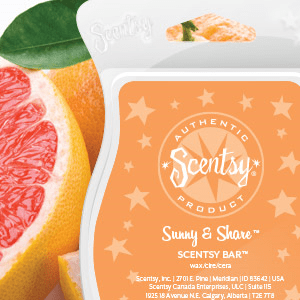Sunny & Share Scentsy Bar