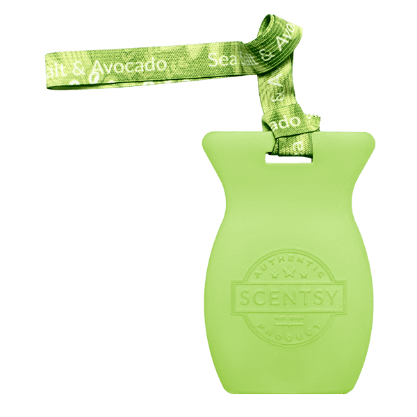 Sea Salt & Avocado Scentsy Car Bar