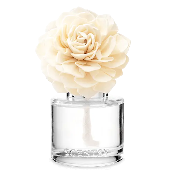 Amazon Rain - Dahlia Darling Fragrance Flower