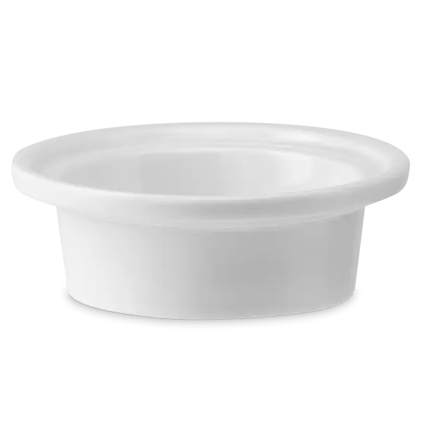 See the Good replacement dish