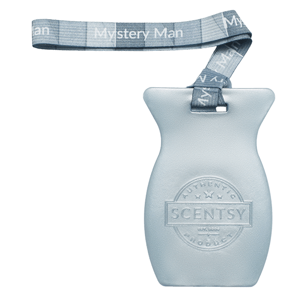 Mystery Man Scentsy Car Bar