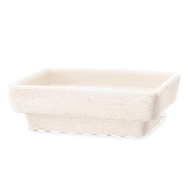 Every Moment Matters replacement dish