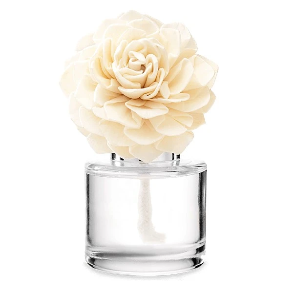 Rum Pum Plum - Dahlia Darling Fragrance Flower