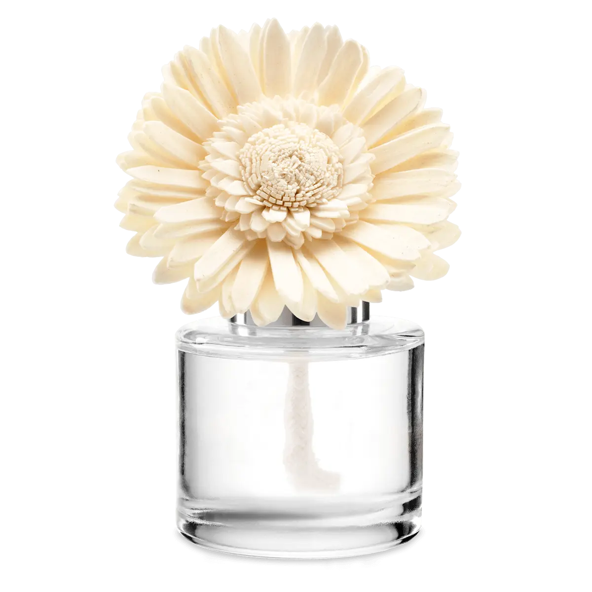Bora Bora Blossom - Dainty Daisy Fragrance Flower