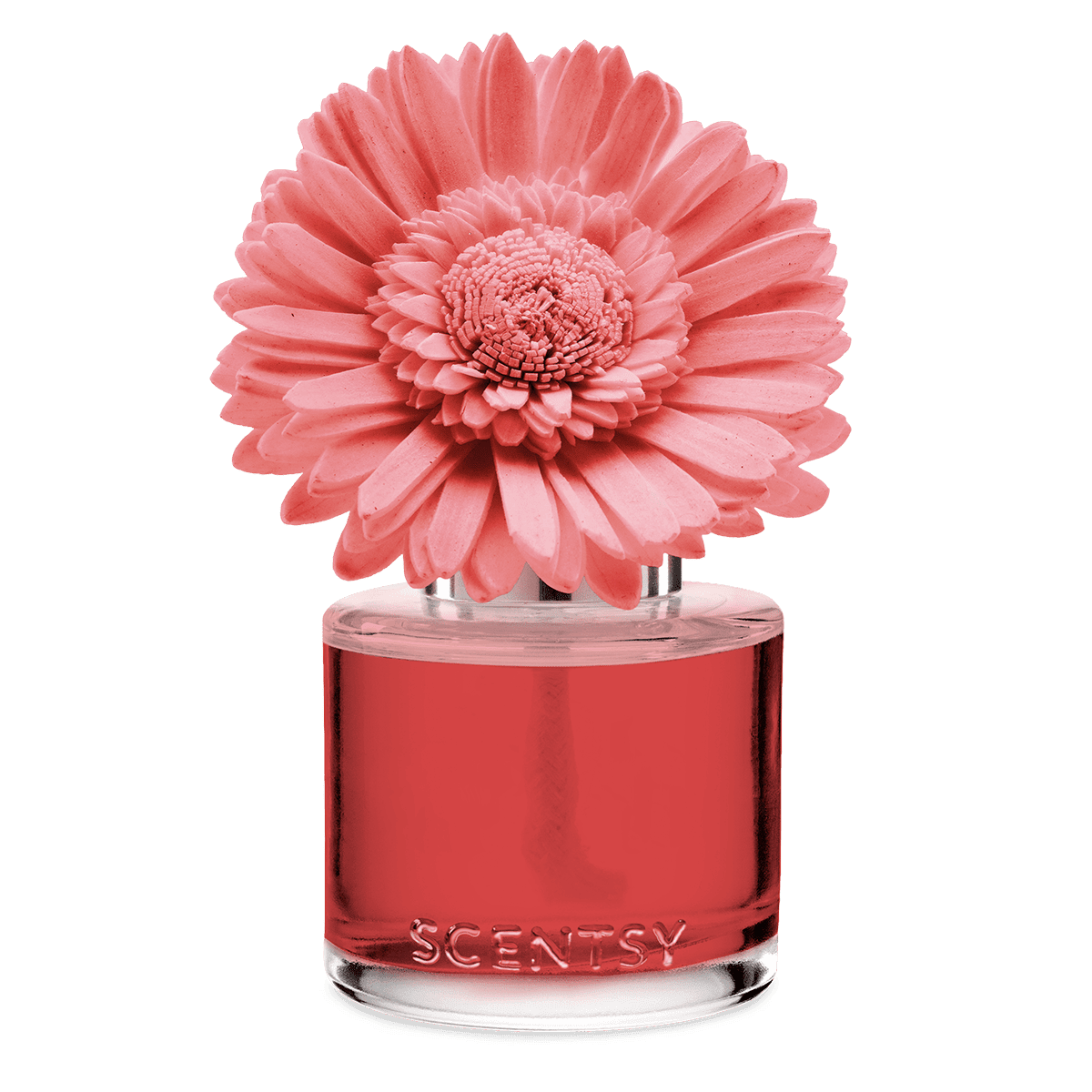 Glorious Grapefruit – Garden Bouquet Fragrance Flower