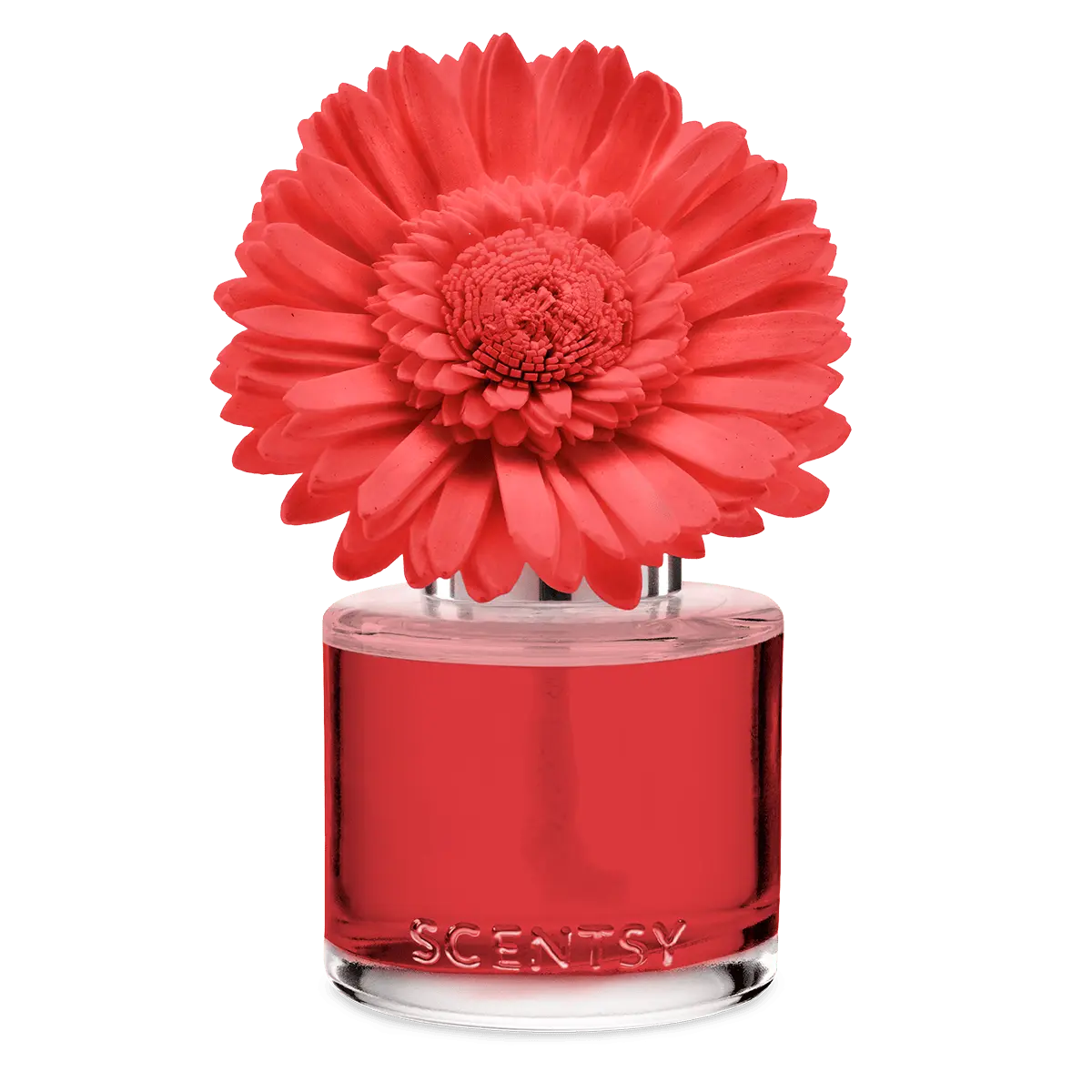 Santorini Blossoms - Dainty Daisy Fragrance Flower