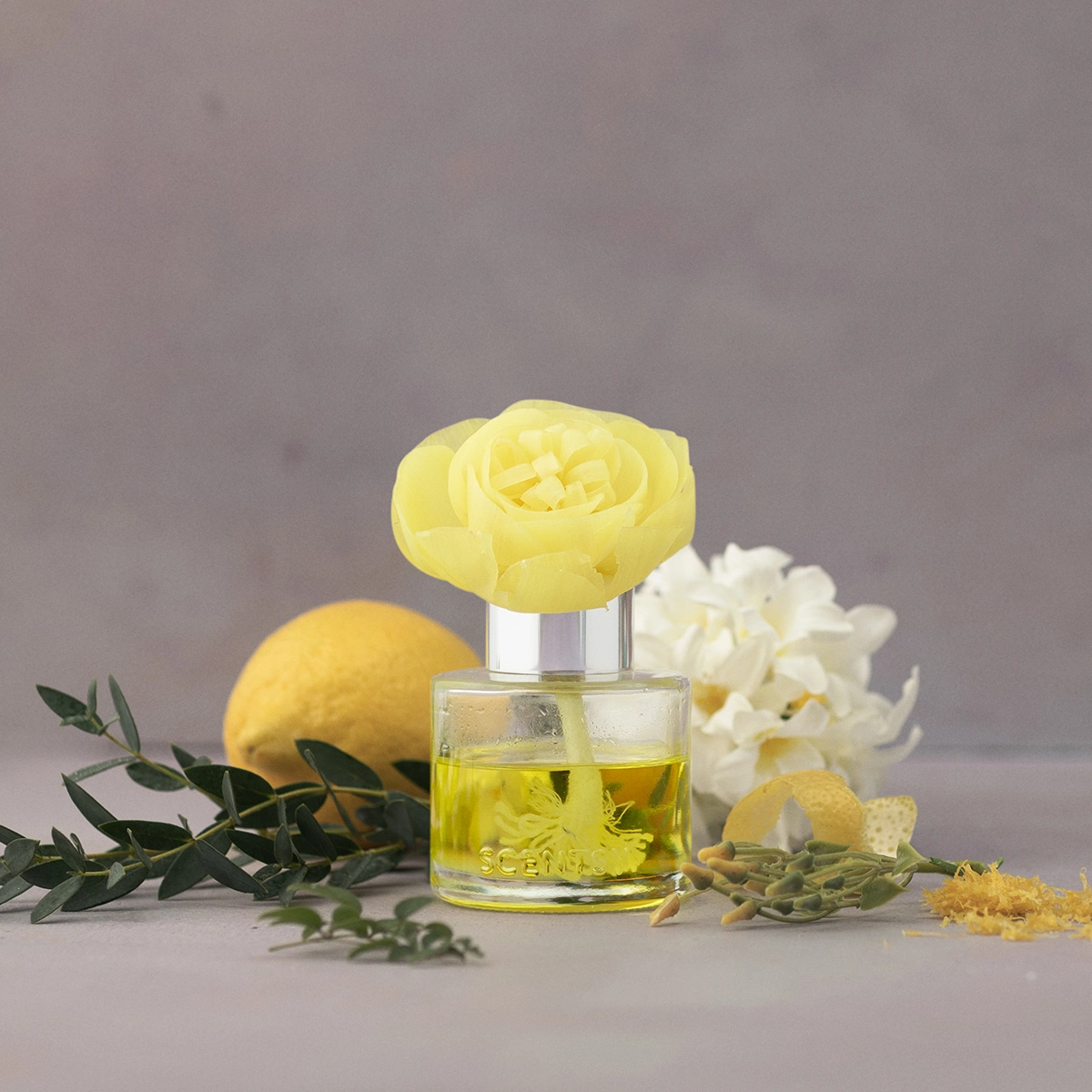 Honeysuckle Dew - Buttercup Belle Fragrance Flower - Image 3