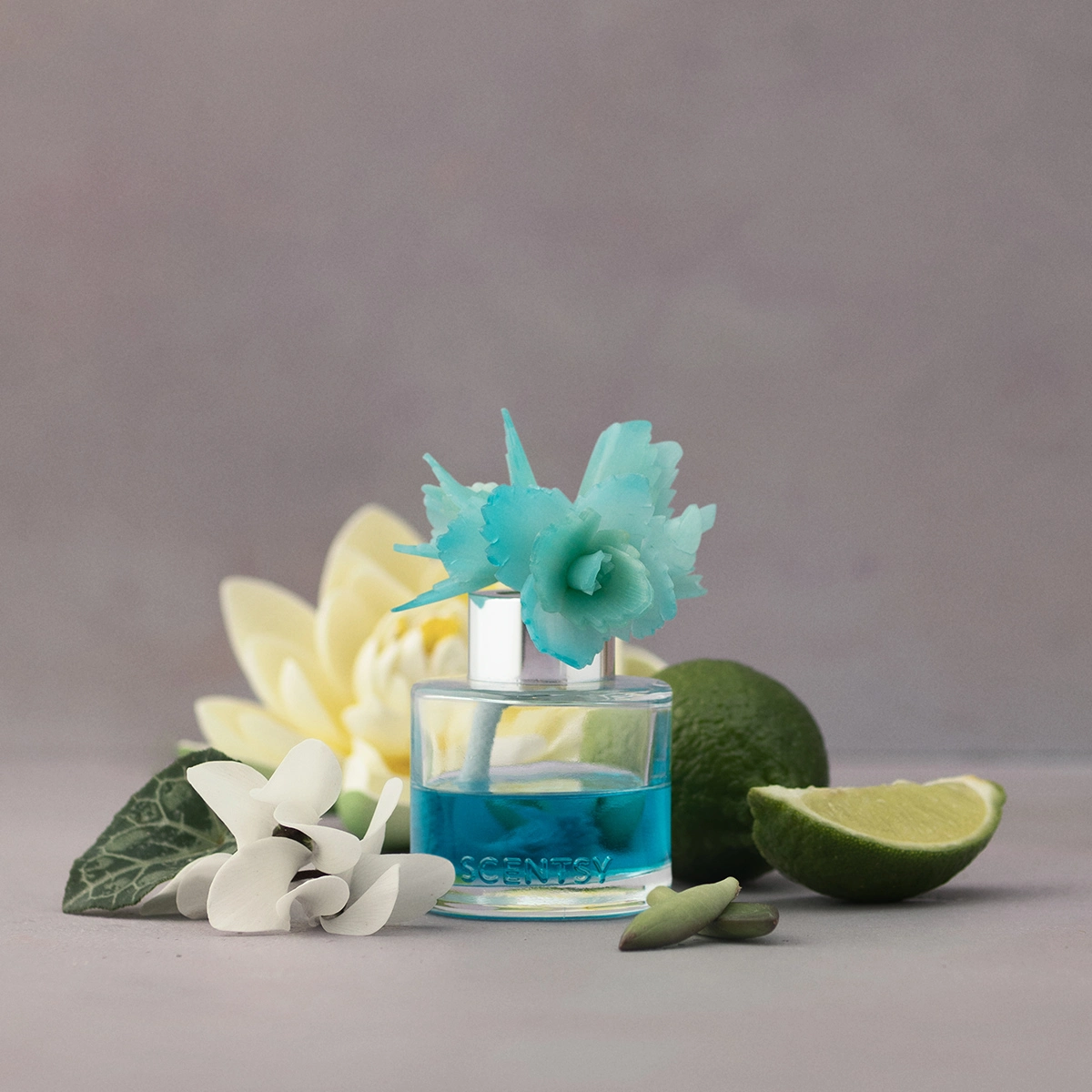 Serene Succulent – Elegant Echeveria Fragrance Flower - Image 3