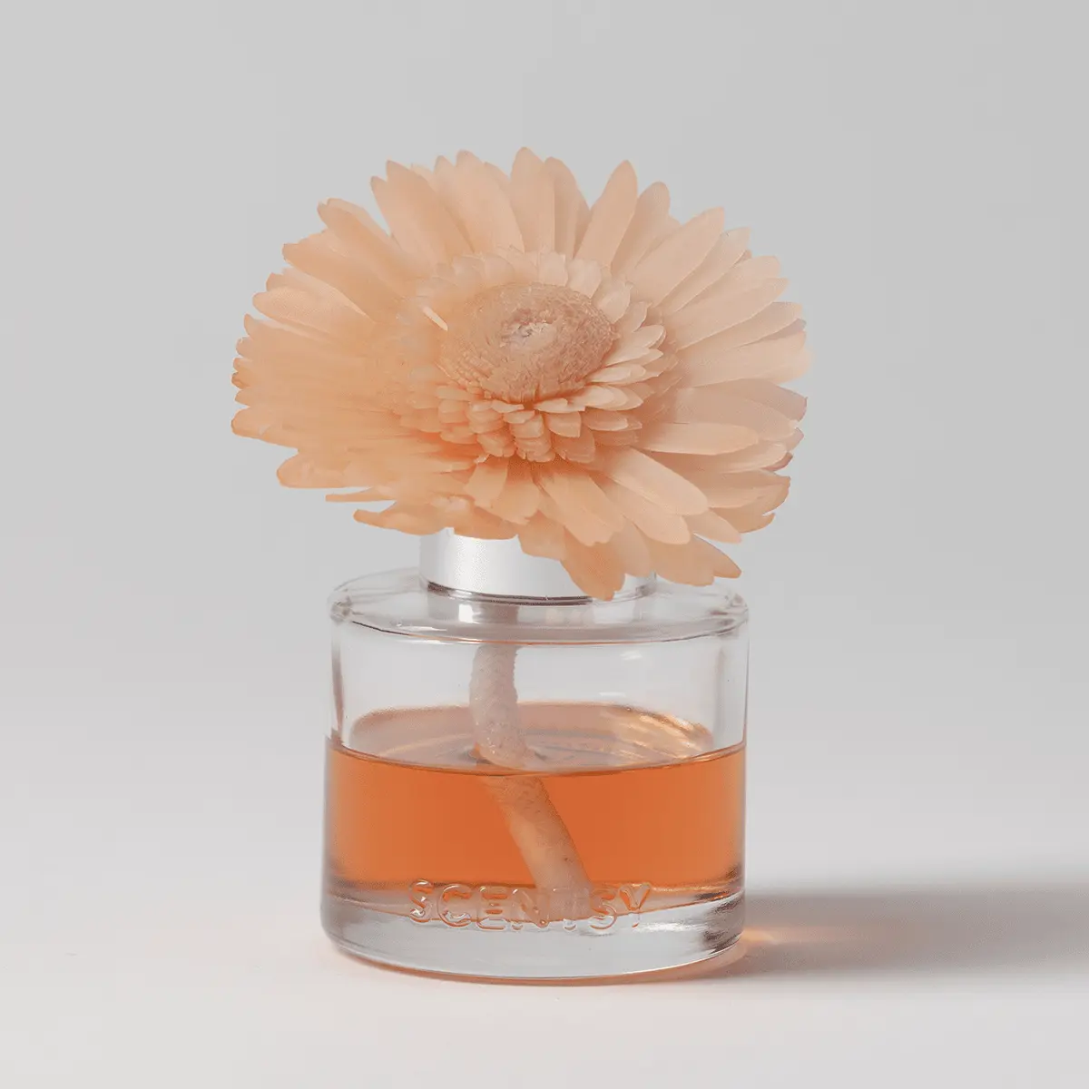 Cloudberry & Dandelion Tea - Dainty Daisy Fragrance Flower