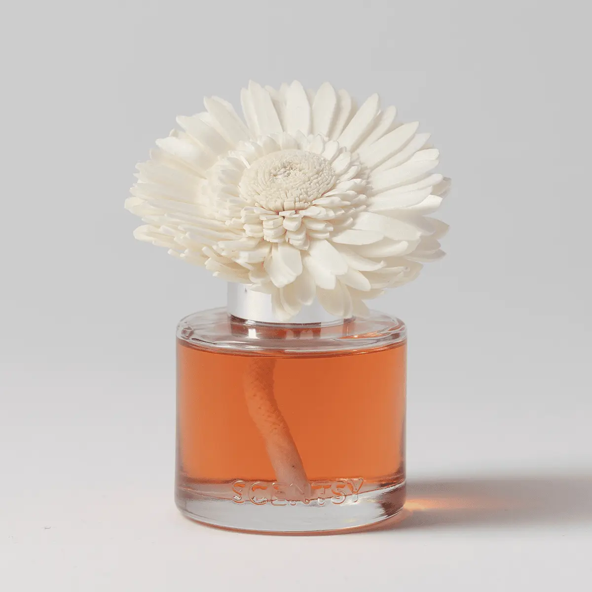 Cloudberry & Dandelion Tea - Dainty Daisy Fragrance Flower - Image 2