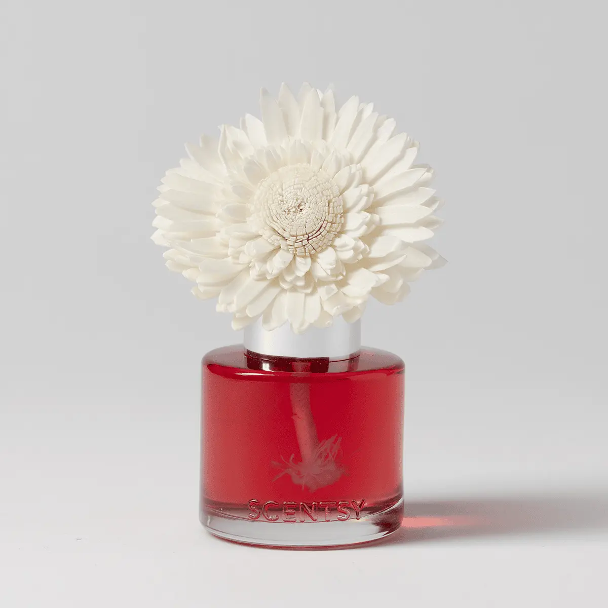 Pomegranate & Poppy - Dainty Daisy Fragrance Flower - Image 2