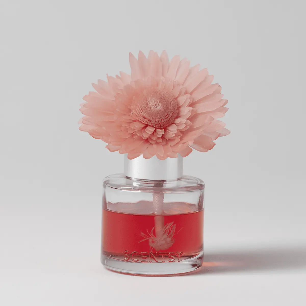Pomegranate & Poppy - Dainty Daisy Fragrance Flower