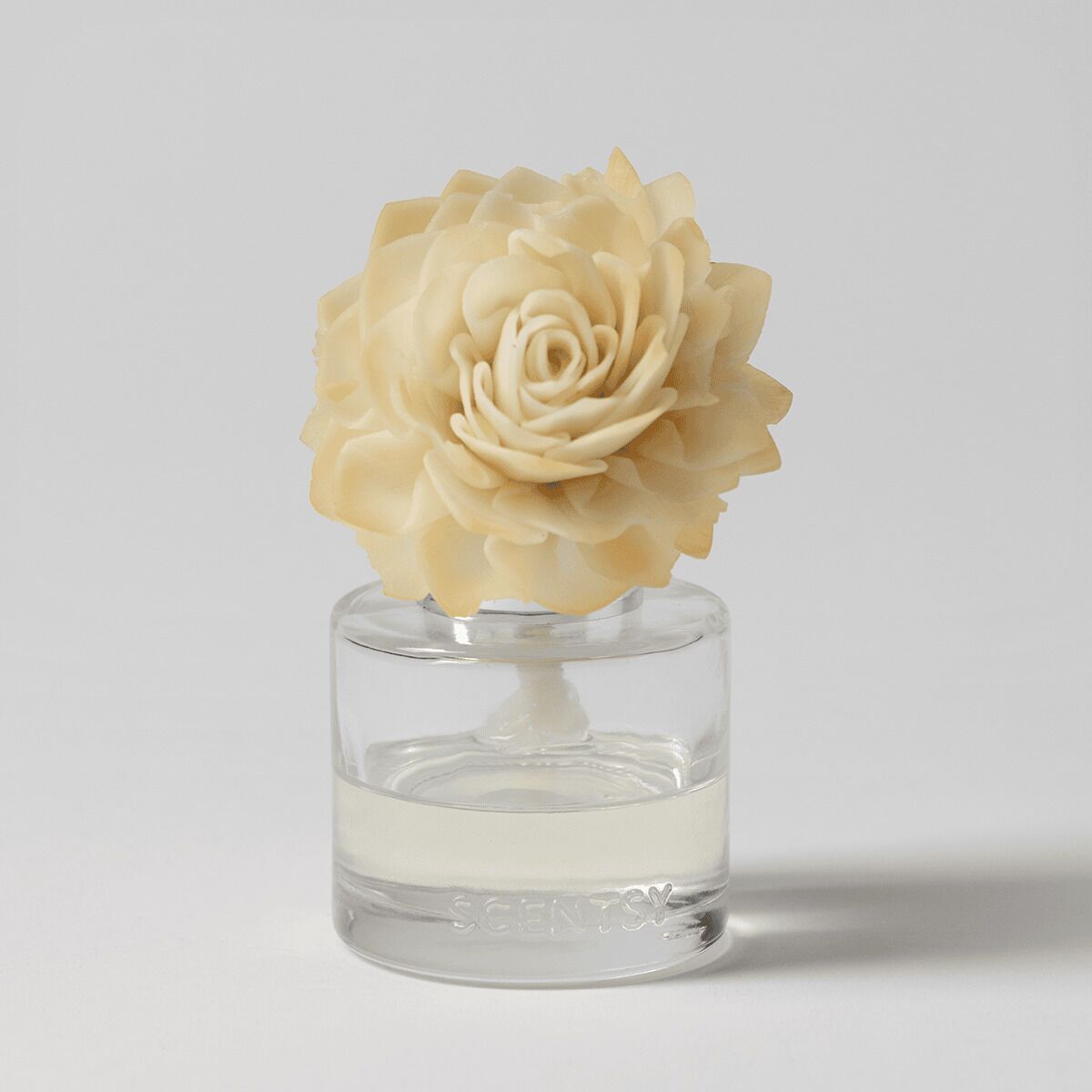 Blue Grotto - Dahlia Darling Fragrance Flower