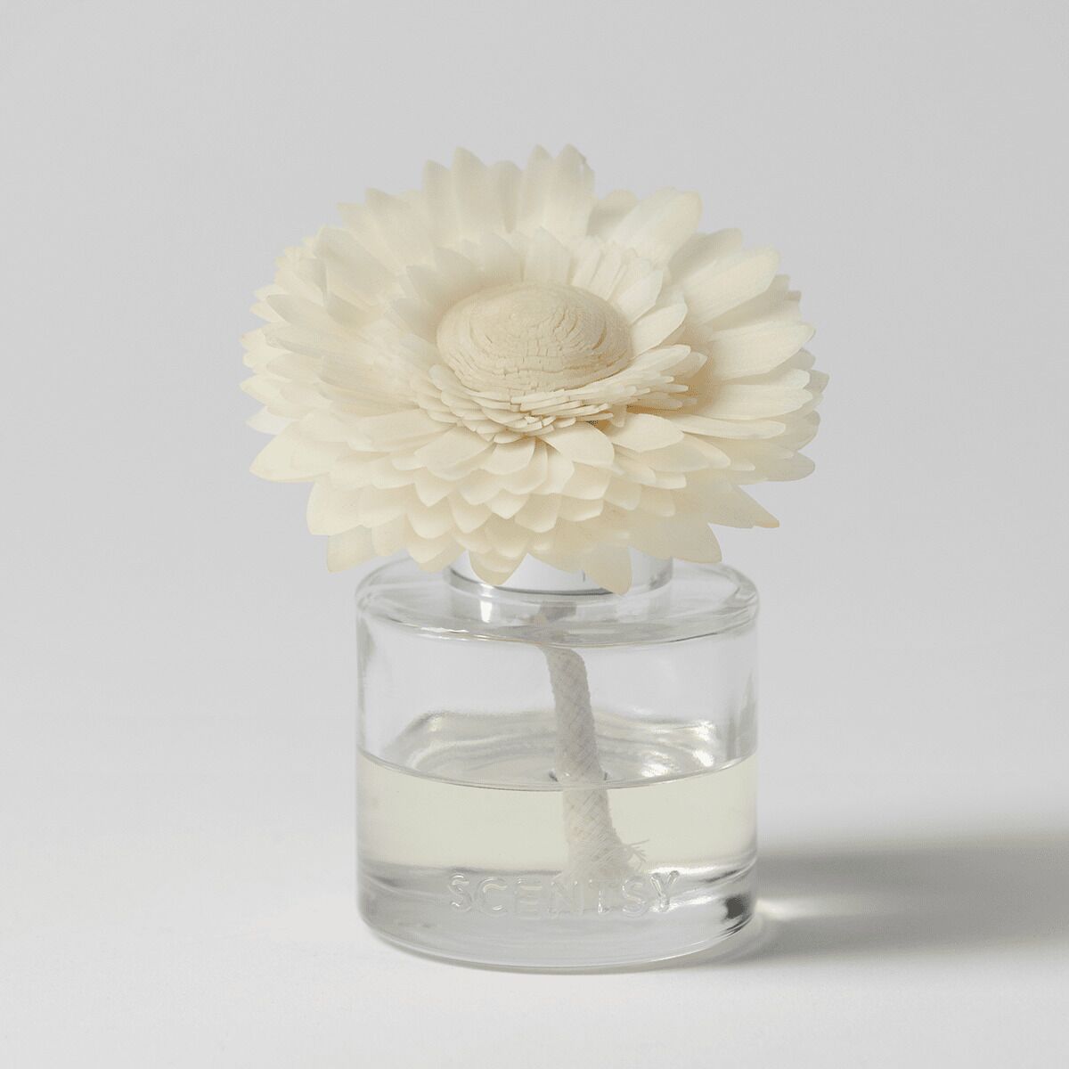 Lucky in Love - Dainty Daisy Fragrance Flower