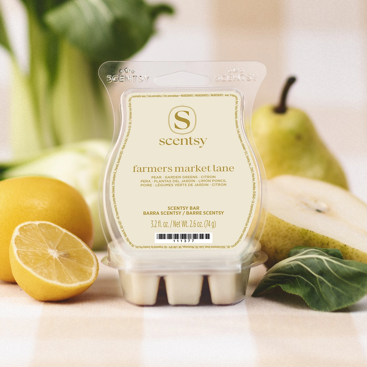 Farmers Market Lane Scentsy Bar - Image 2