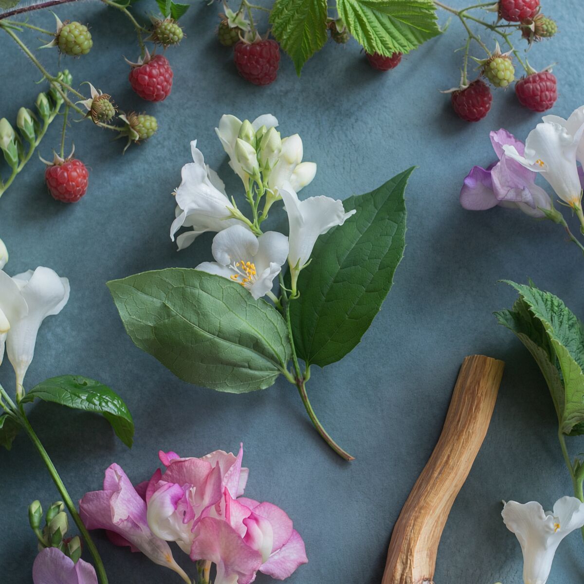 Luna - Buttercup Belle Fragrance Flower - Image 3