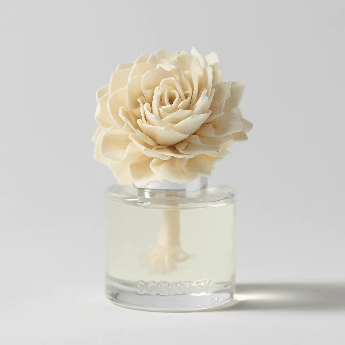 Luna - Dahlia Darling Fragrance Flower - Image 2