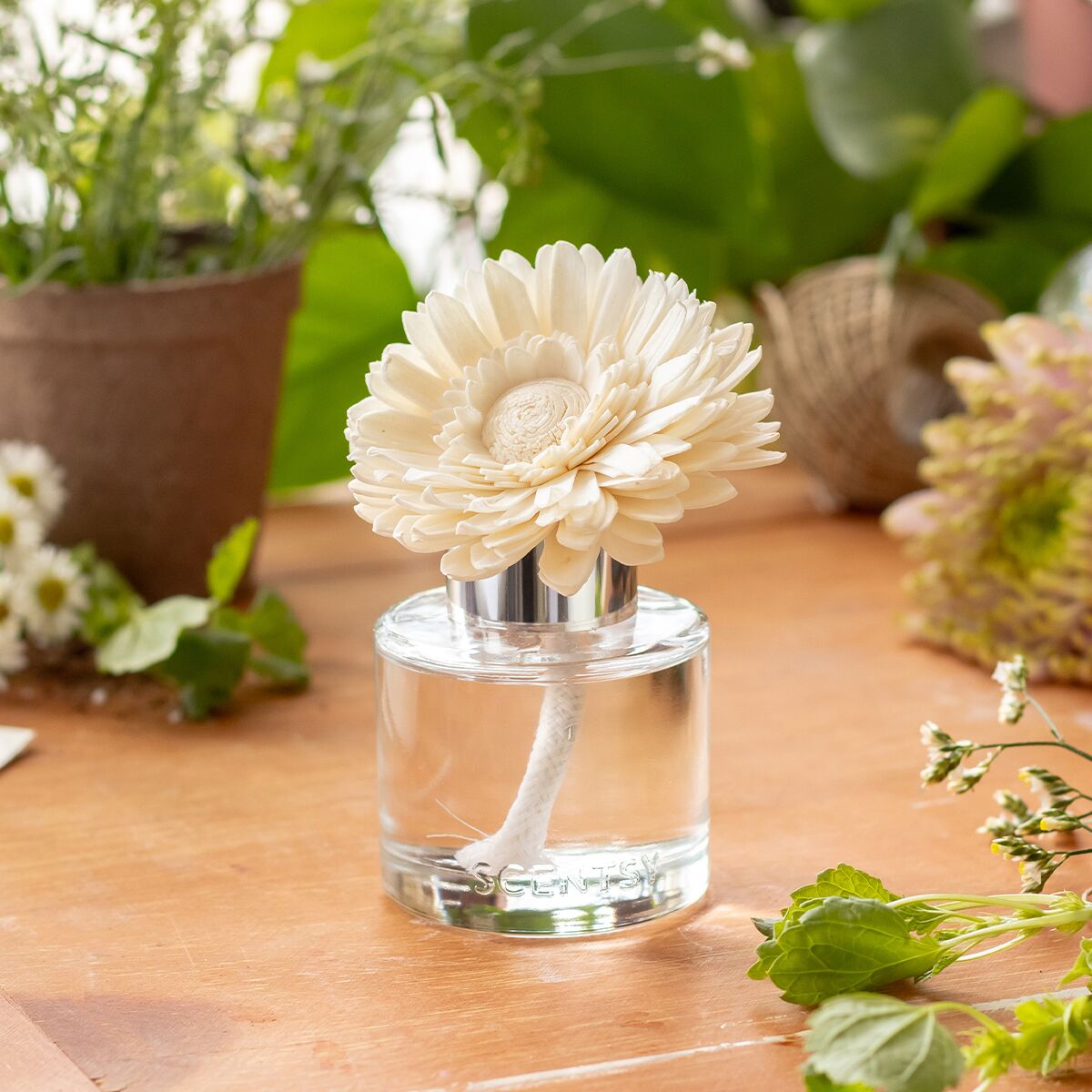 Luna - Dainty Daisy Fragrance Flower - Image 4