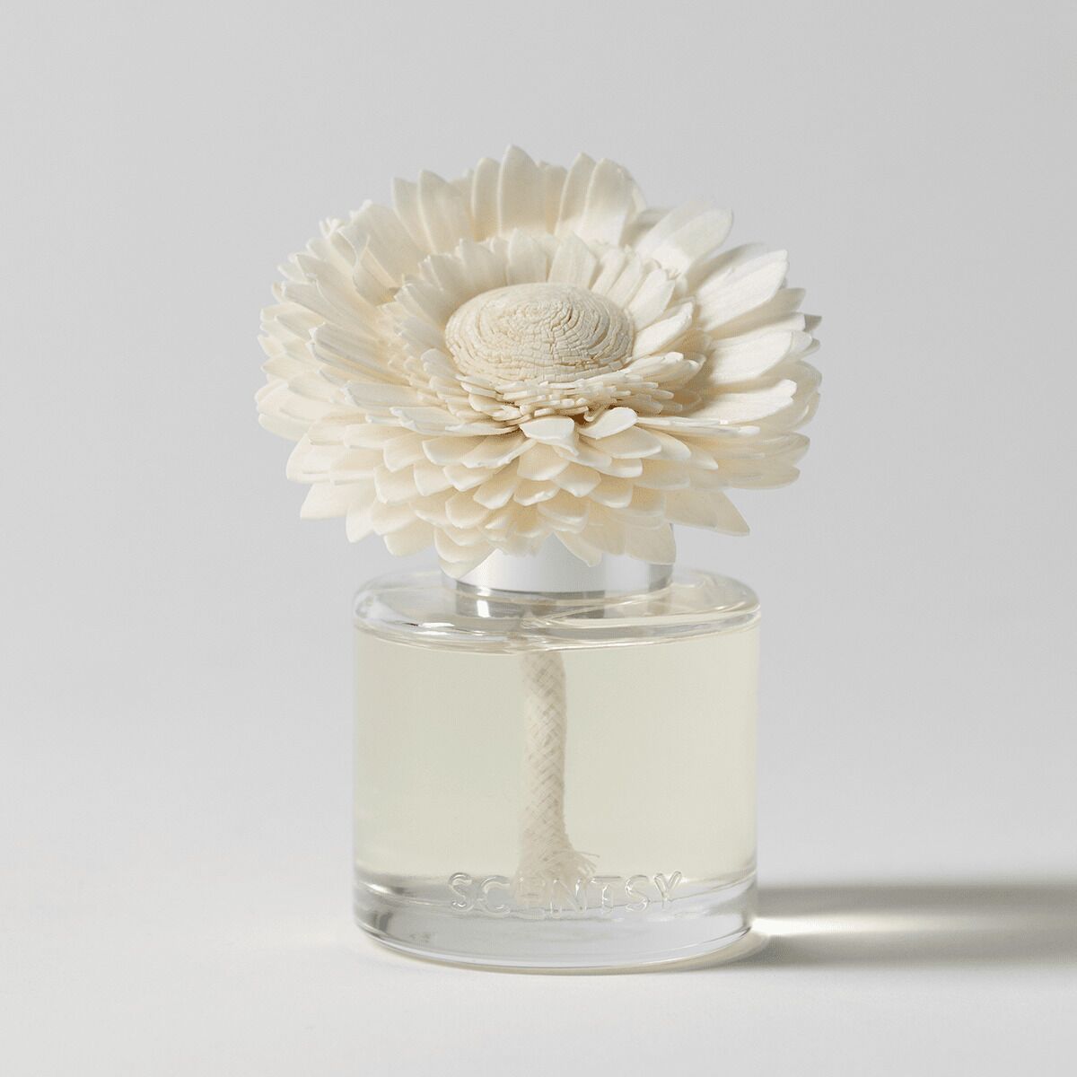 Luna - Dainty Daisy Fragrance Flower - Image 2