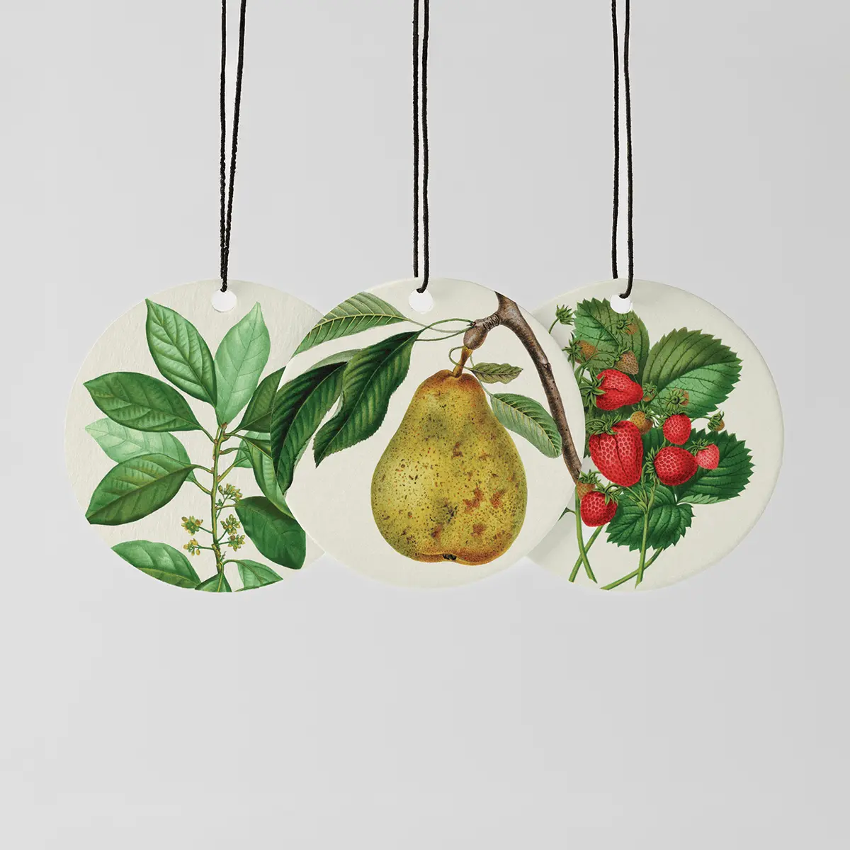 Farmers Market Scentsy Circle 3-pack