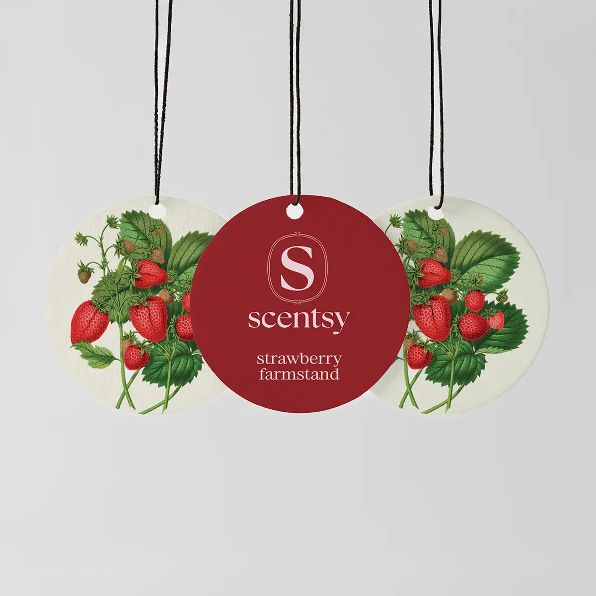 Farmers Market Scentsy Circle 3-pack - Image 4