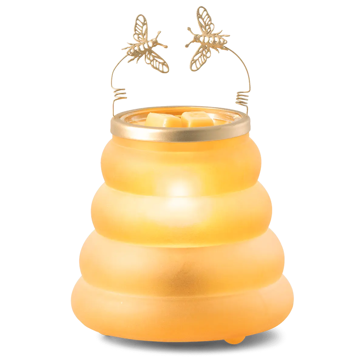 Beehive Warmer