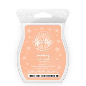 Awakening Scentsy Bar