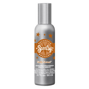 Simply Cinnamon Room Spray