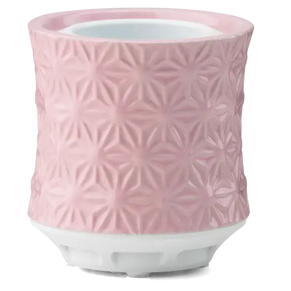 Scentsy Air – Burst