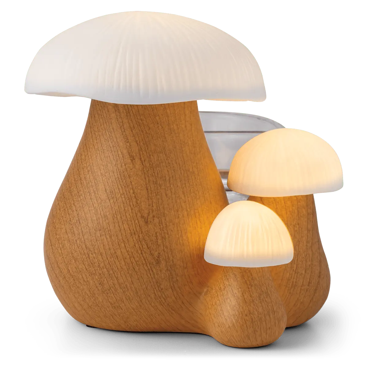 Forest Forage Warmer
